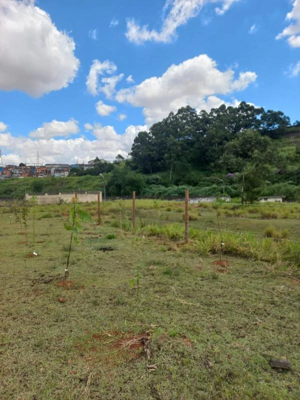 Imagem ilustrativa de Compensação ambiental em são paulo